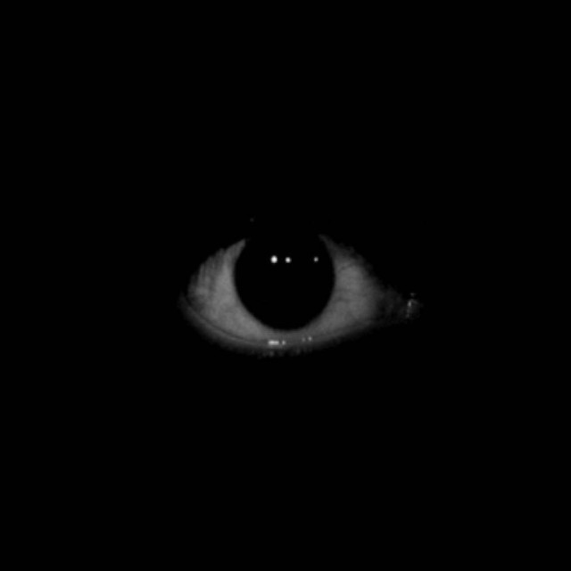 1317505 【首·作】吾藏
