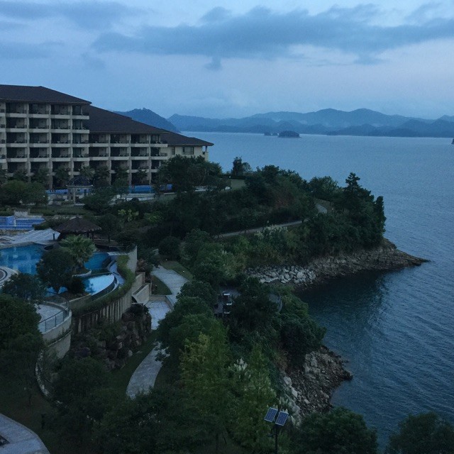1317507 爱君如梦
