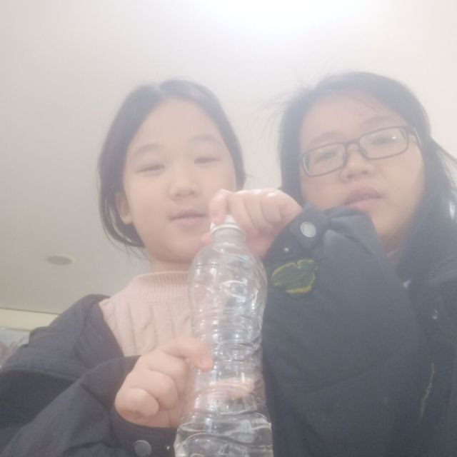1317565 小鸟