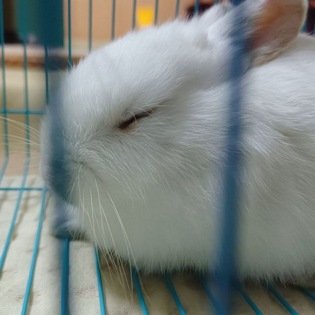 131794 睿智