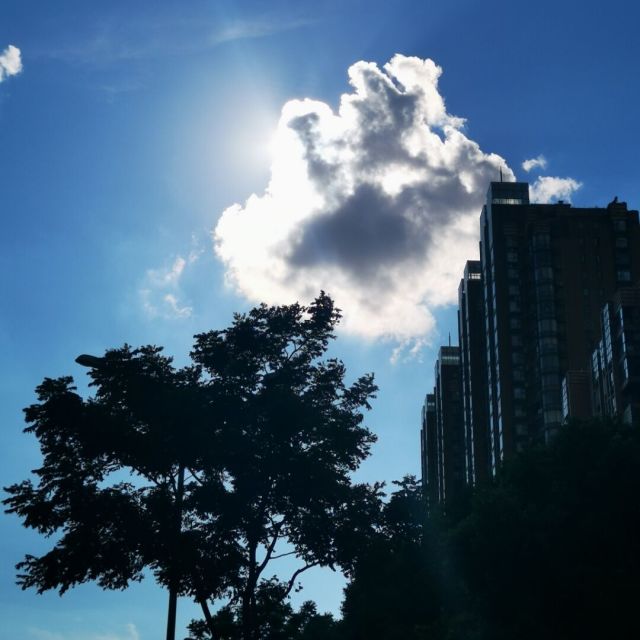 1318143 欧阳光