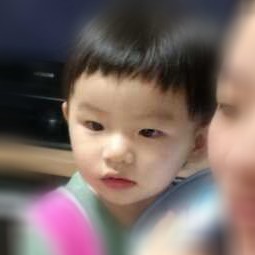 1318236 lq