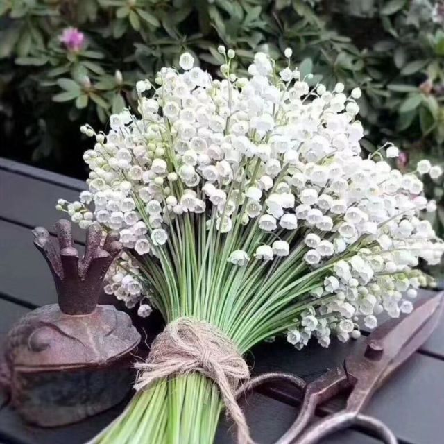 1318764 糀汧、一悸