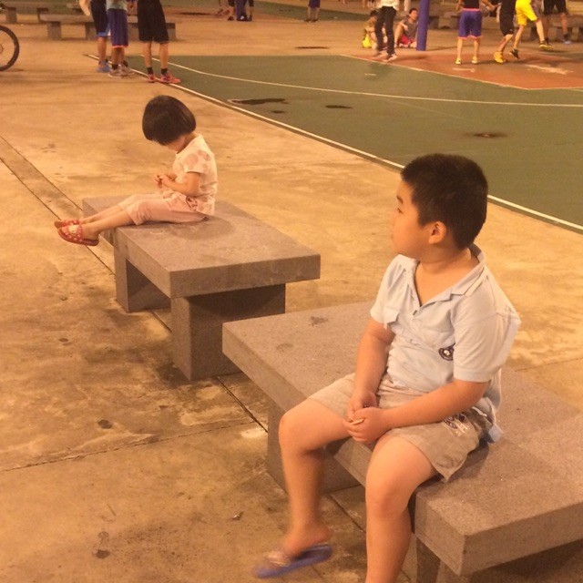 1319009 SHEng