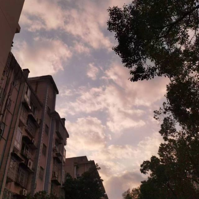 1319049 翔哥
