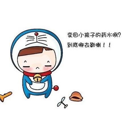 1319076 十六根羽毛