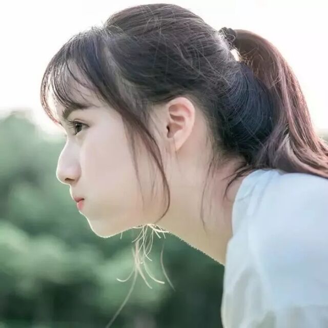 1319351 人淡如菊