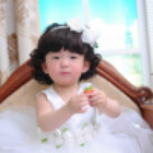 1320711  roddle
