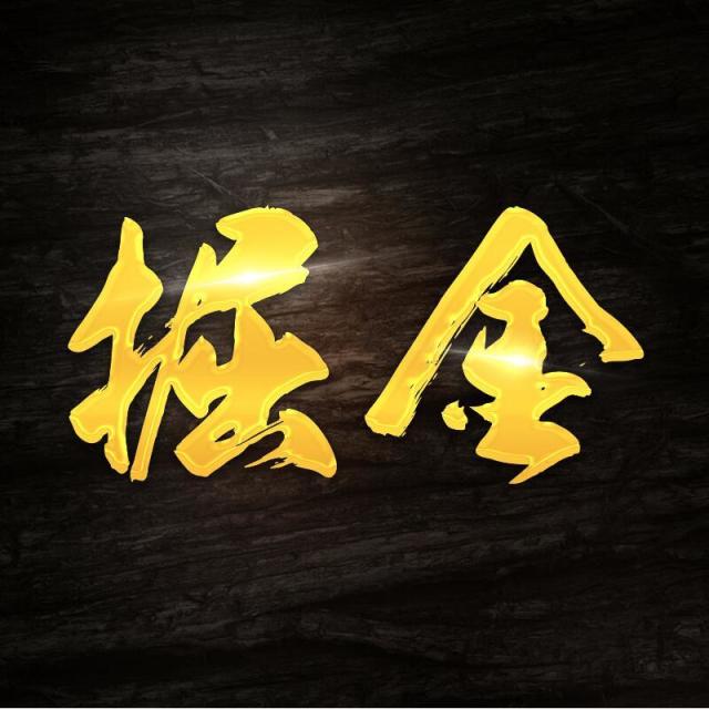 132072 丽盈招商-掘金