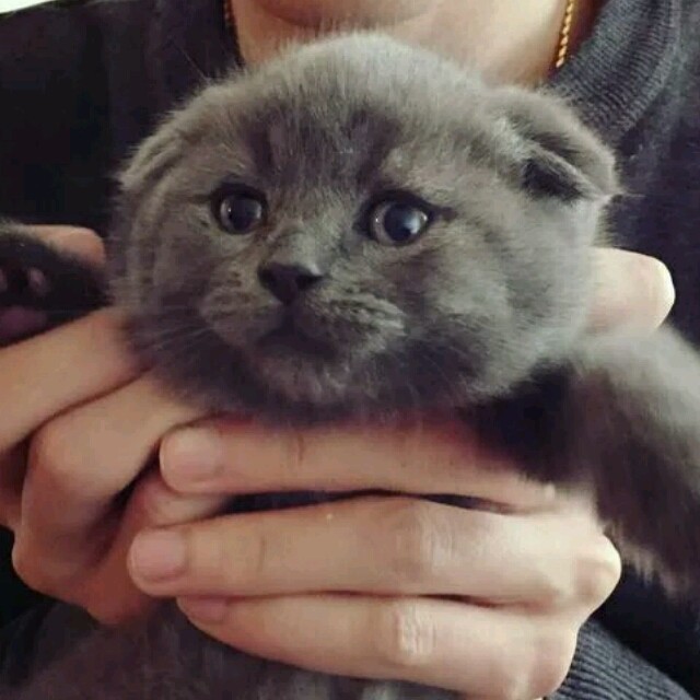 1320918 Lunker