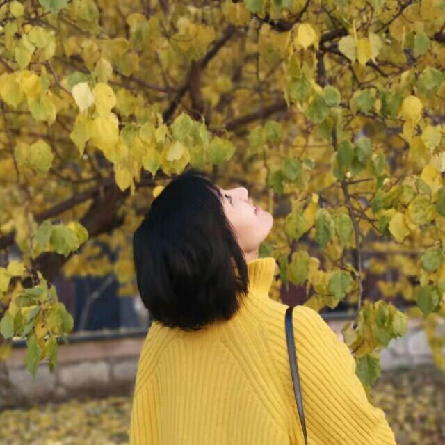 1321812 静 3.0