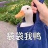 QQ头像