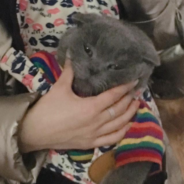 1322022 壹兰