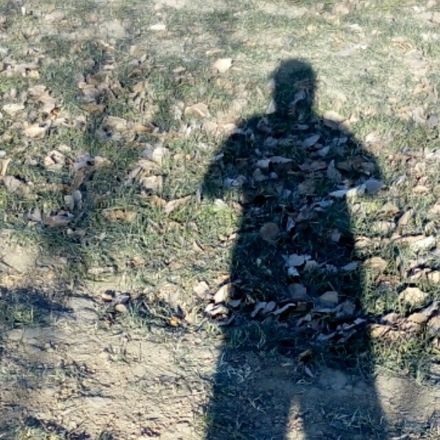 132208 北极熊