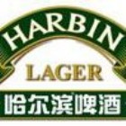 132241 只爱哈啤
