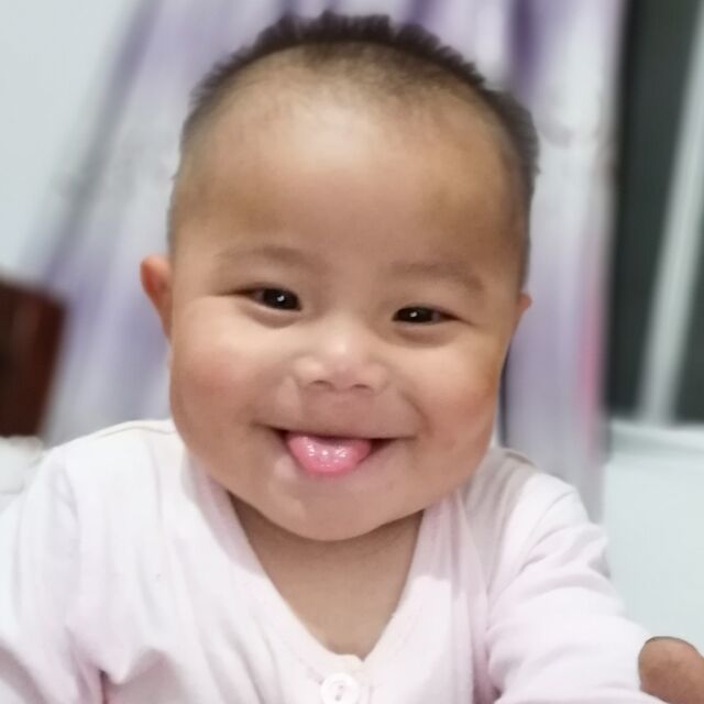 1322995 北风吹.%