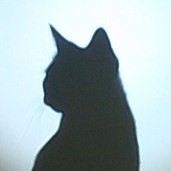1323665 红猫