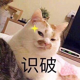 1324183 勿忘我