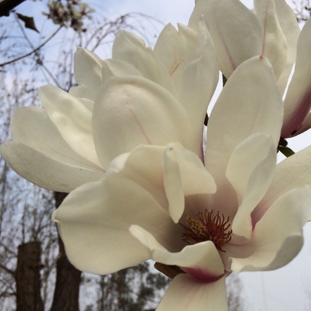 1325034 春暖花开