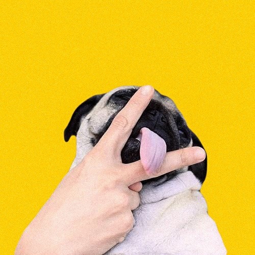 1325303 宝尊电商-王鹏