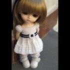 1325666 Shelly