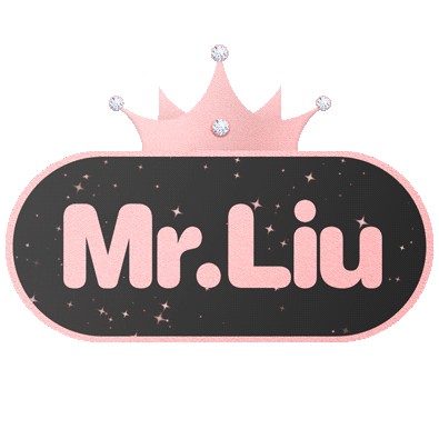 1325704 Mr.Liu