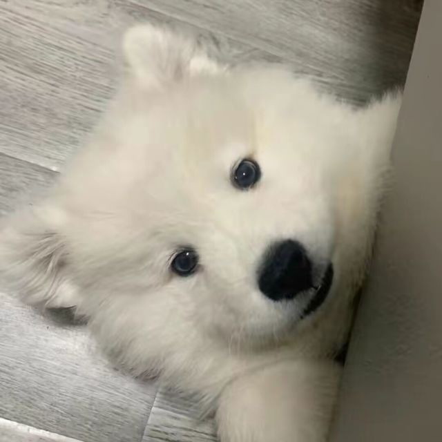 1326041 打怪兽打怪兽