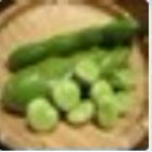 1326985 豆角/tsh