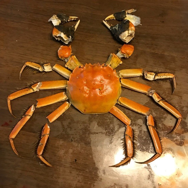1327540 天涯石头
