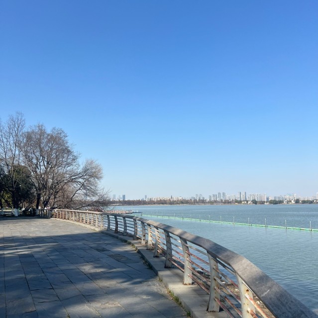 132783 婲蝴蝶儿