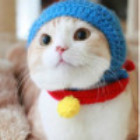 132788 doudou