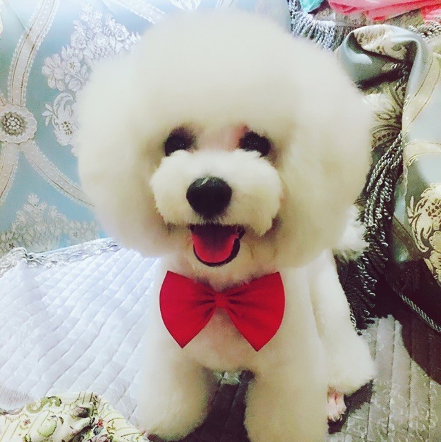 1329047 ❤ζ淋つ°