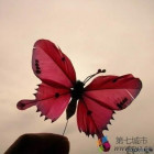 1331039 一个人的天空