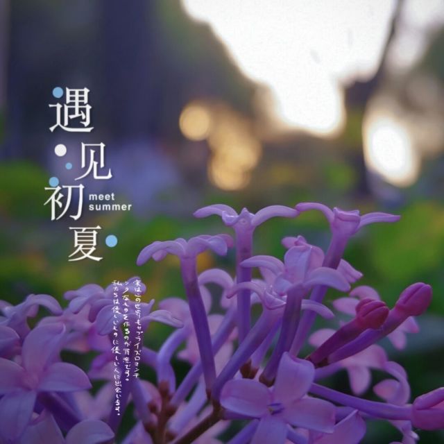 1331110 清风
