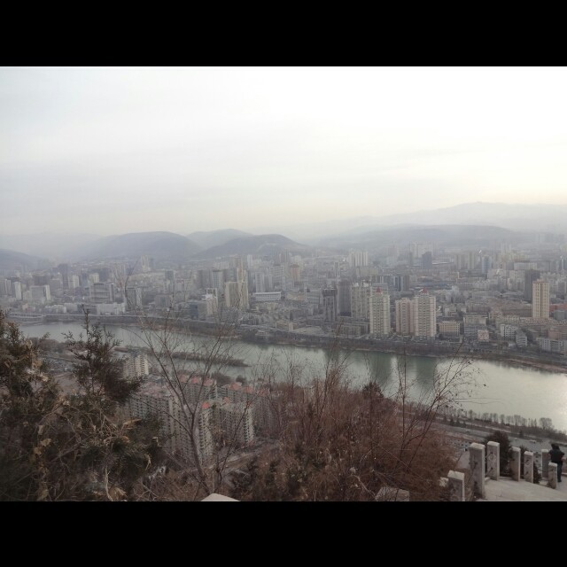 1331156 因为你