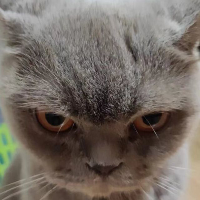 1332914 老熊
