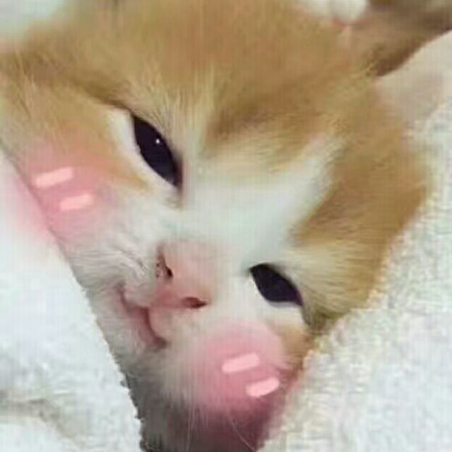 1333449 欣然～