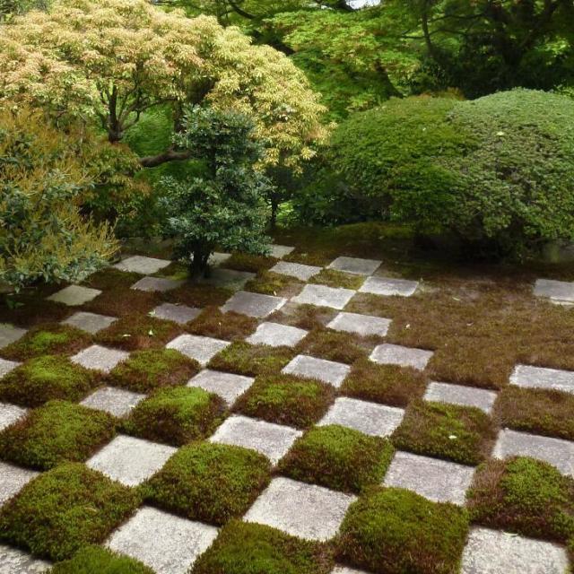 1334041 芥末