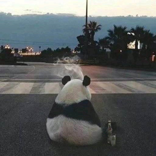 1334134 淡忘