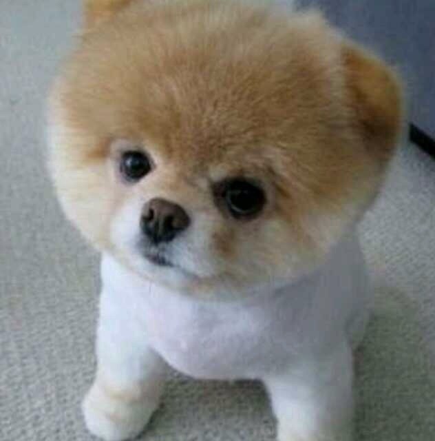 1334138 D调de奢华