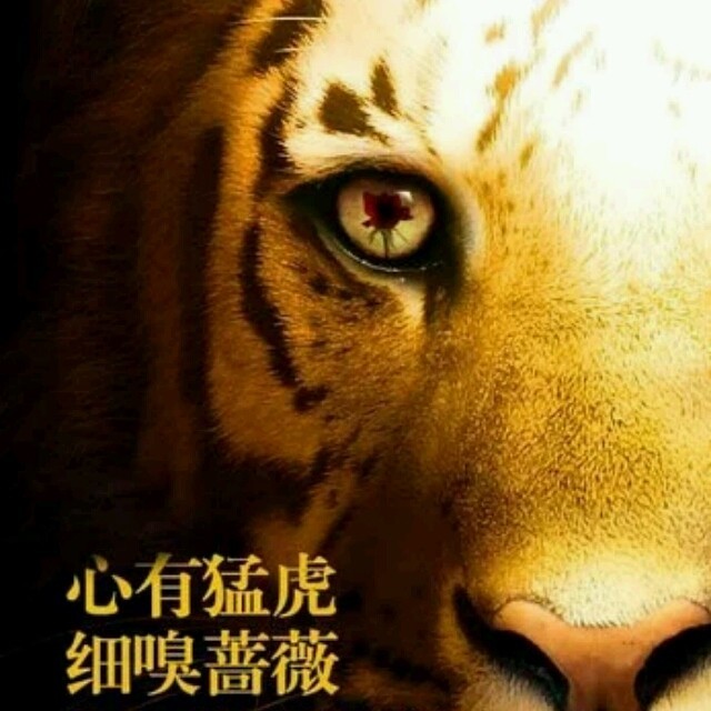1334776 子游