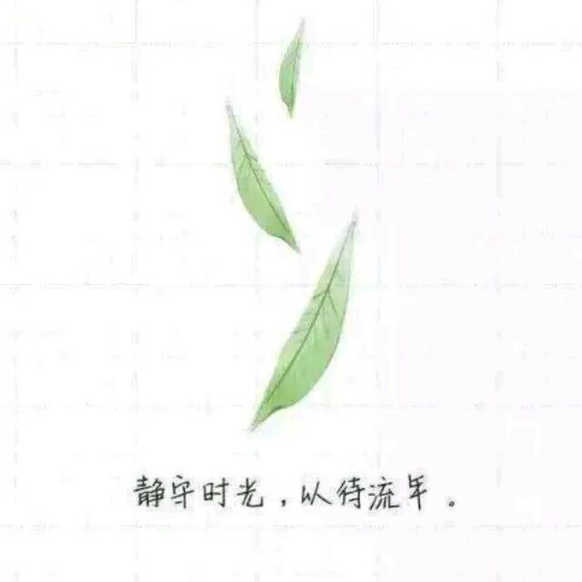 1335021 萤夜漫舞
