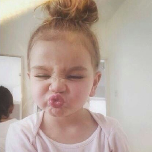 1335565 dinga