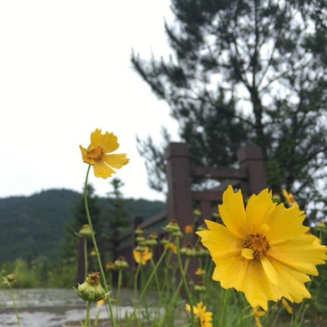1335844 青春永恒