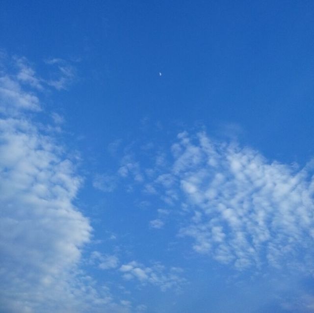1335964 沙漠行人