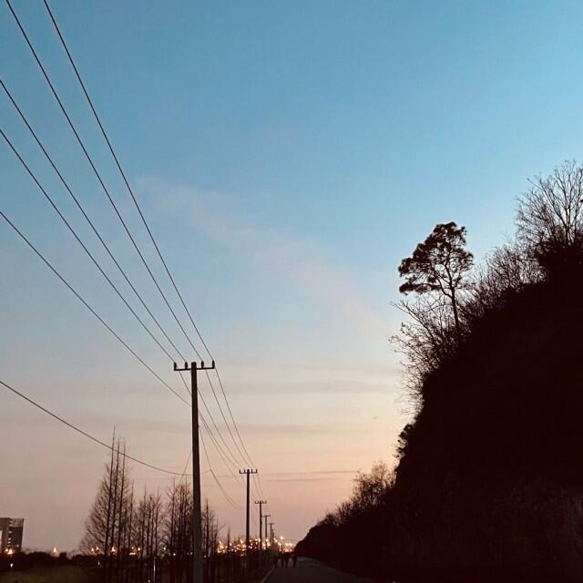 1336074 糯米桃花糕
