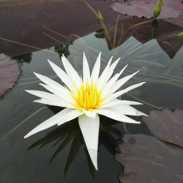 1336253 温泉