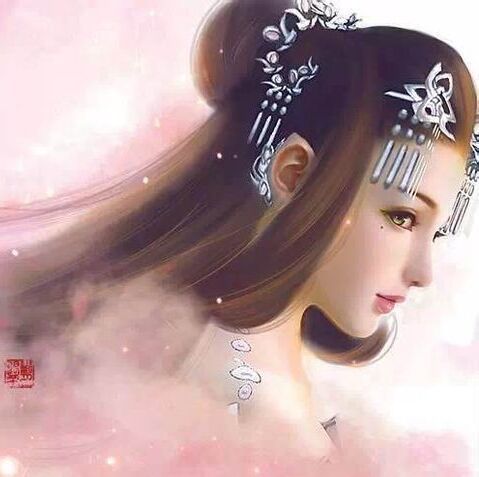 1338255  朱砂泪。