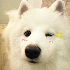 1338588 迂回的青弹