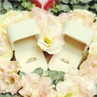 1338854 哈你啵凸&Jewels
